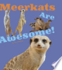 Meerkats_are_awesome_