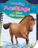 Drawing_mustangs_and_other_wild_horses