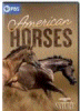 American_horses