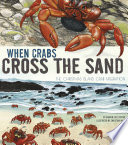 When_crabs_cross_the_sand