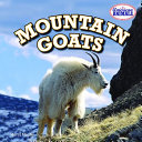 Mountain_goats
