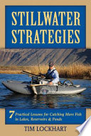 Stillwater strategies
