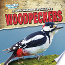 A_bird_watcher_s_guide_to_woodpeckers