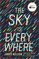 The_sky_is_everywhere