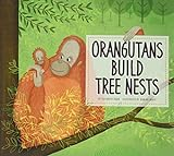 Orangutans_build_tree_nests
