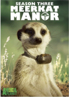 Meerkat_manor