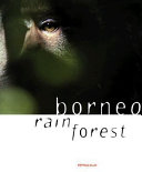 Borneo_rain_forest
