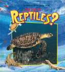 Qu___son_los_reptiles_
