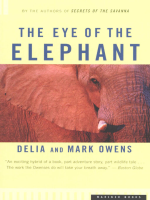 The_Eye_of_the_Elephant