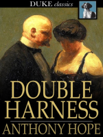Double_Harness