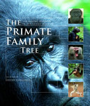 Primate_Family_Tree___The_Amazing_Diversity_of_Our_Closest_Relatives