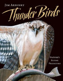 Thunder_birds