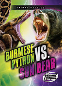 Burmese_python_vs__sun_bear